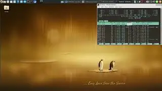 Calculate Linux - Gentoo 2026 VirtualBox install made even more easy ;-)
