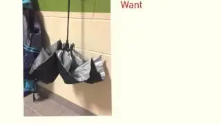 Needs and Wants