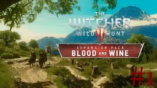 The Witcher 3: Blood and Wine #1 The Witcher's Gone South