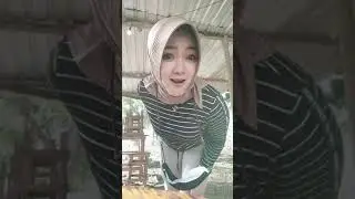 janda gatel