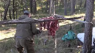 Охота на Алтае. Часть 2.