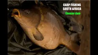 CARP FISHING SOUTH AFRICA / Ebenzer dam