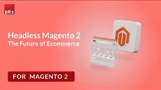 Headless Magento 2: The Future of Ecommerce | PIT Solutions