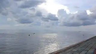 Без названия