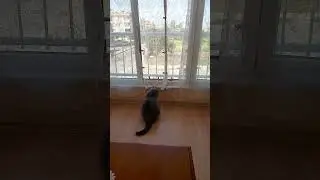 GÖZCÜ BICIRIK