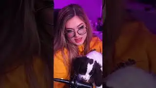 This Puppy Is SO Cute!