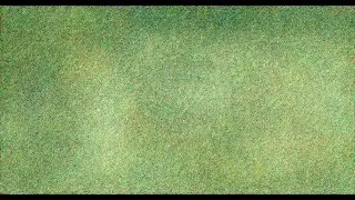 Flower Field