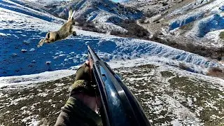 TAVŞAN VE KEKLİK AVI SEÇME EN GÜZEL VURUŞLAR | BEST HARE HUNTING AND PARTRIDGE HUNTING