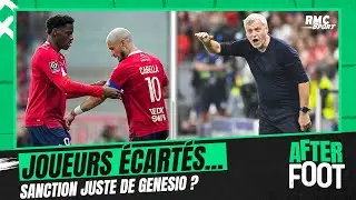LOSC : David, Meunier et Cabella sanctionnés contre le PSG... L'After approuve