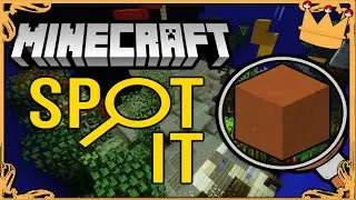 We Played Minecraft "Spot It"!