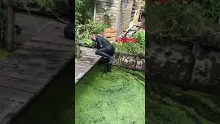 Foutje bedankt.