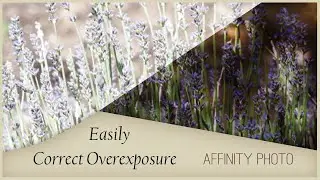 Easily Correct Overexposed Photos in Affinity Photo