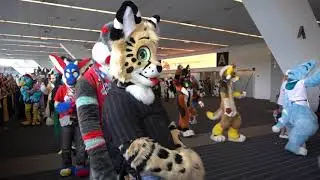 AC 2019 Parade