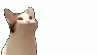 camt eat rickyroll