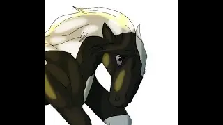Despita [Speedpaint]