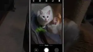 flyme os 6