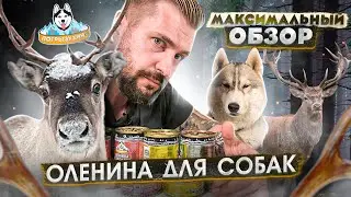 Обзор на консервы для собак Погрызухин с олениной | Шо это такое?