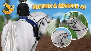 Buying the NEW Jorvik Friesian Horse, NEW Races & Bridles | Star Stable Online