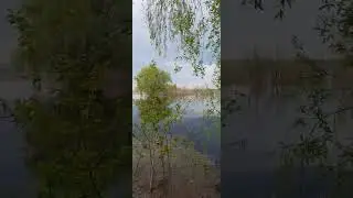 Найбільший паводок на річці Десна 2023 рік