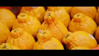 Freshmax: Have a look at our Sumo Citrus Harvest