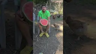 Cutting The Biggest Watermelon I've Ever Seen