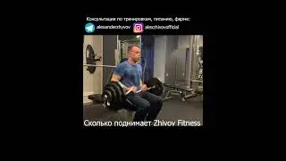 Сколько поднимает Zhivov Fitness ?  