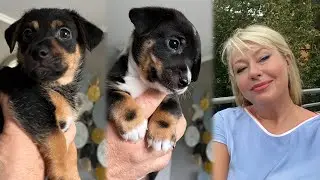 Помаленечку расходятся 🐶Конечно я устала 😩