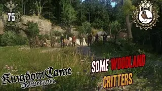 Robber Baron & some Friends indeed 🐦 75; Hardcore Kingdom Come Deliverance; Royal Edition