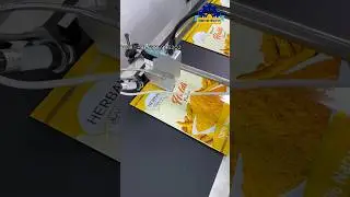 TIJ Printer Expiry Date Coding Machine | TIJ With Conveyor Pouch Printer 