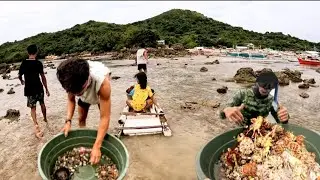 KAYAMAN harvest lahat ng madaanan dahll sa Kristen