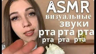 АСМР 💖 Визуальные триггеры. Звуки рта. Тихий шепот. Перчатки 😻 ASMR Visual triggers. Mouth sounds