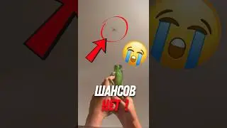 🦎Идеальный способ избавиться от насекомых!