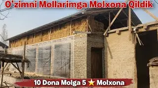 Qulay va Arzon Molxona Qurish 