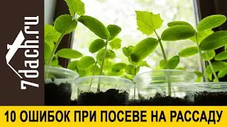 Основные ошибки при  посеве на рассаду - 7 дач