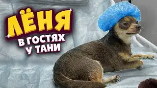 Лёня в гостях у Тани