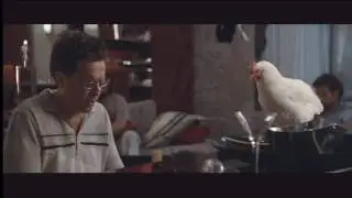 The Hangover: What do tigers dream of?