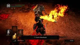DS1 Gwyn SL1 No Pyro