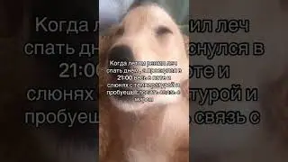 Плов: заболел