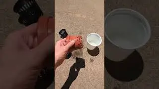 Гидропоника. Как убрать соль. Часть 2