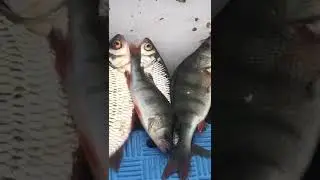 Зимняя рыбалка с друзьями.