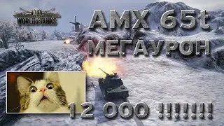 МЕГАУРОН НА AMX 65t! 12 000 DAMAGE!!!