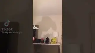 Tiktokers playing with shadow puppets