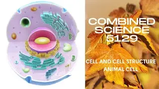 Cell and cell Structure I Animal Cell (Combined Science 5129)