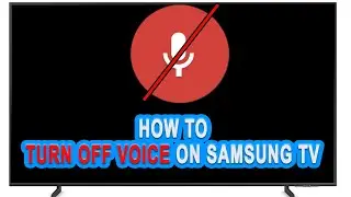 How To Turn Off Voice On Samsung TV?