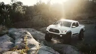 WEREWOLF among the rocks