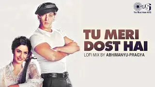 Tu Meri Dost Hai Lofi Mix | Yuvvraj | Salman Khan, Katrina,A. R. Rahman, Benny Dayal, Shreya Ghoshal