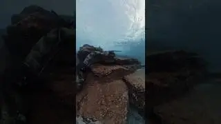 Disparo Perfecto A Pejerey XXL (grabado con insta360 X4)