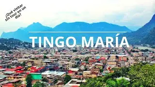 TINGO MARÍA-¿Qué visitar en un día sin tour?/ VIAJE CON JORGE