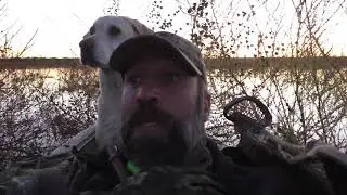 Duck Hunting 2017: Layout Boat Hunt Success!