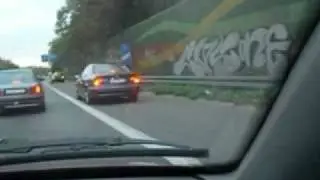 Dog Rescue on German Highway